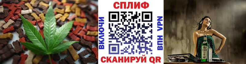 Купить закладки  Иланский  Cannafood конопля 
