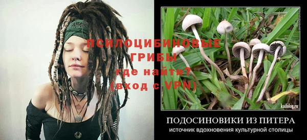 мескалин Вязьма